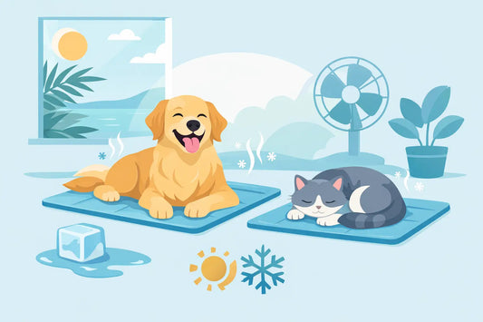 Can Pets Use Cooling Mats? Safe Summer Comfort