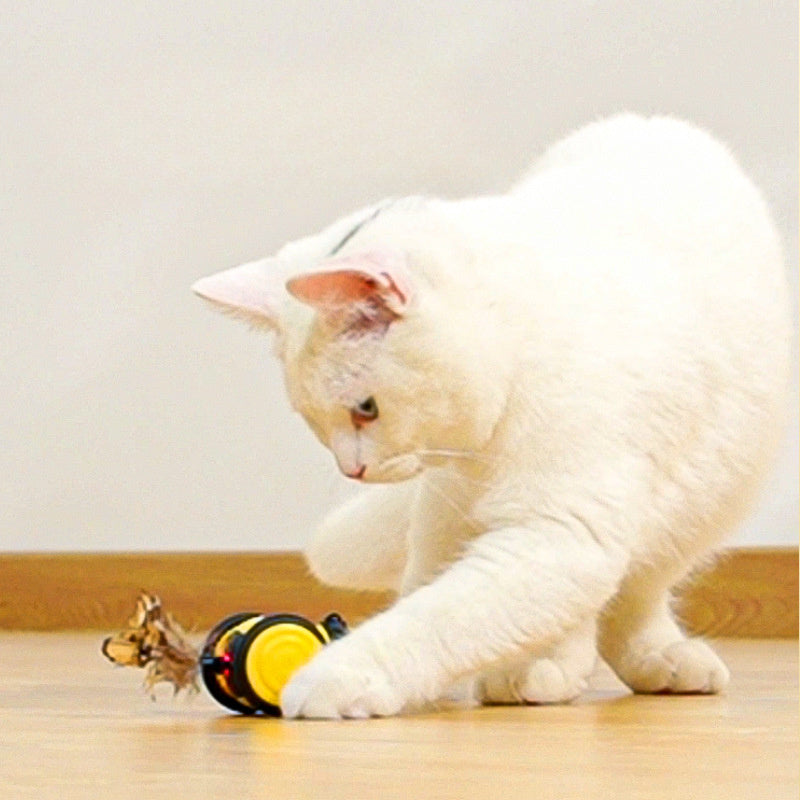 Interactive bee cat toy movement detail