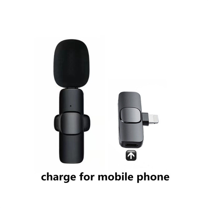 Portable phone microphone for interviews and video audio