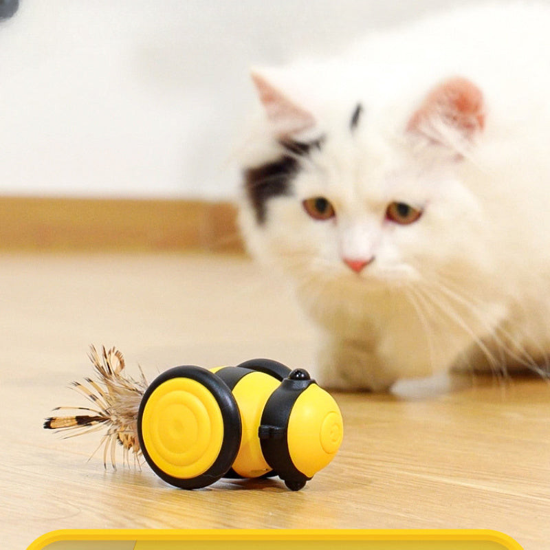 Indoor cat enrichment toy product detail