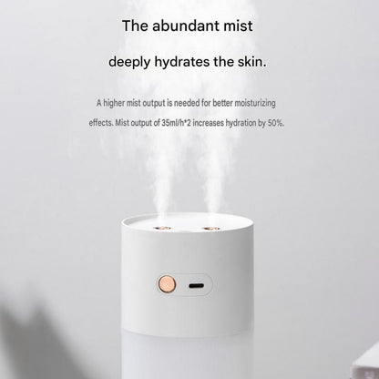 Creative Romantic Home Gift Set - Pink Dual Spray USB Humidifier with  Warm LED Night Light and White Acrylic Decorative Ambient Lamp