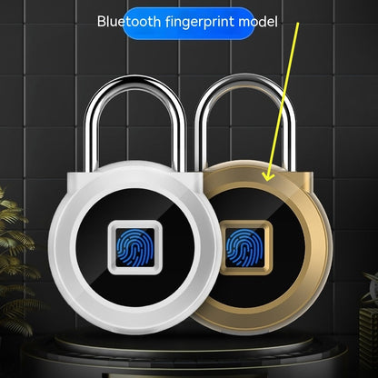 Smart electronic padlock with fingerprint access