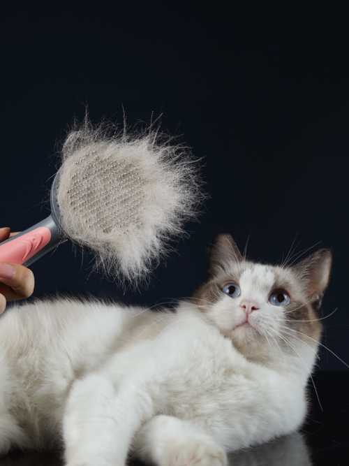 Self-Cleaning Pet Grooming Brush – Deshedding Comb for Cats & Dogs