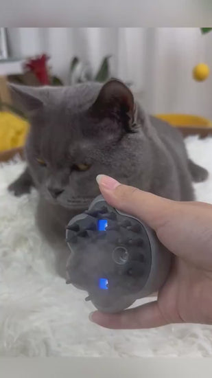 Pet steam grooming brush product video 3