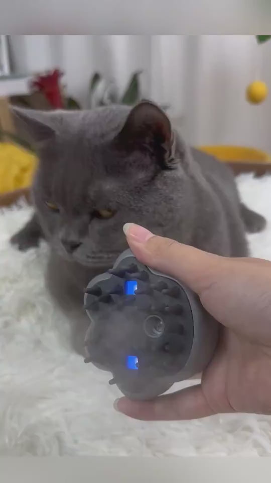 Pet steam grooming brush product video 3