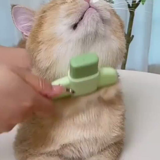 Hair release pet comb usage video