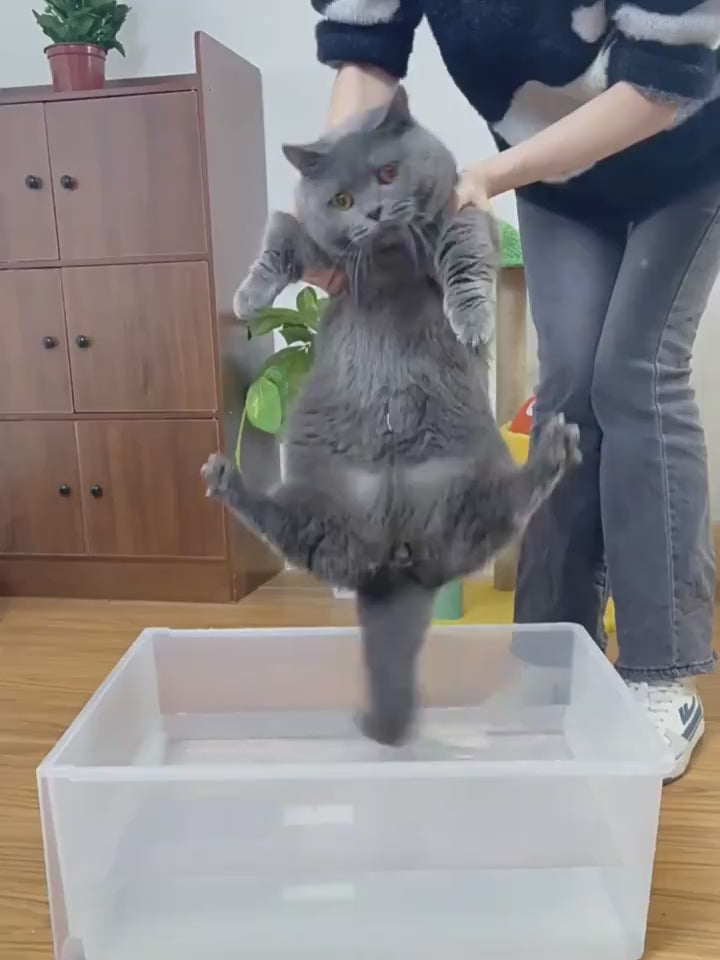 Pet steam grooming brush product video 2
