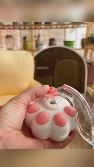 Pet steam grooming brush product video 4