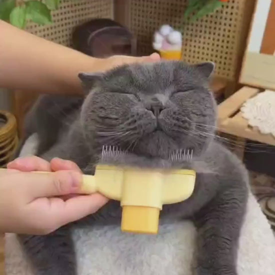Pet grooming comb demonstration video