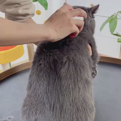 Pet steam grooming brush product video 1