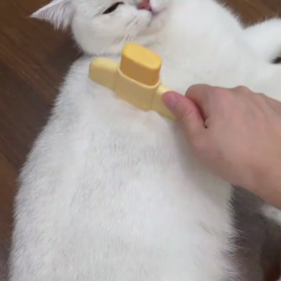Pet grooming comb cleaning demonstration